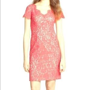 Eliza J Coral Lace Dress Size 8